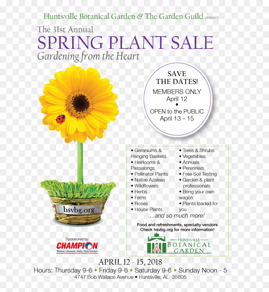 Spring Plant Sale Website - Champion Windows, HD Png Download - hanging plants png