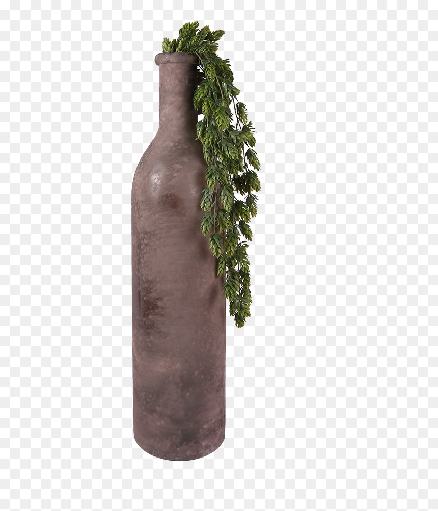 Pl86 - Glass Bottle, HD Png Download - hanging plants png