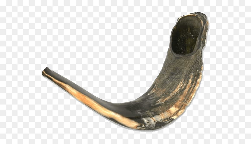 Shofar Horn Png - Shofar, Transparent Png - shofar png