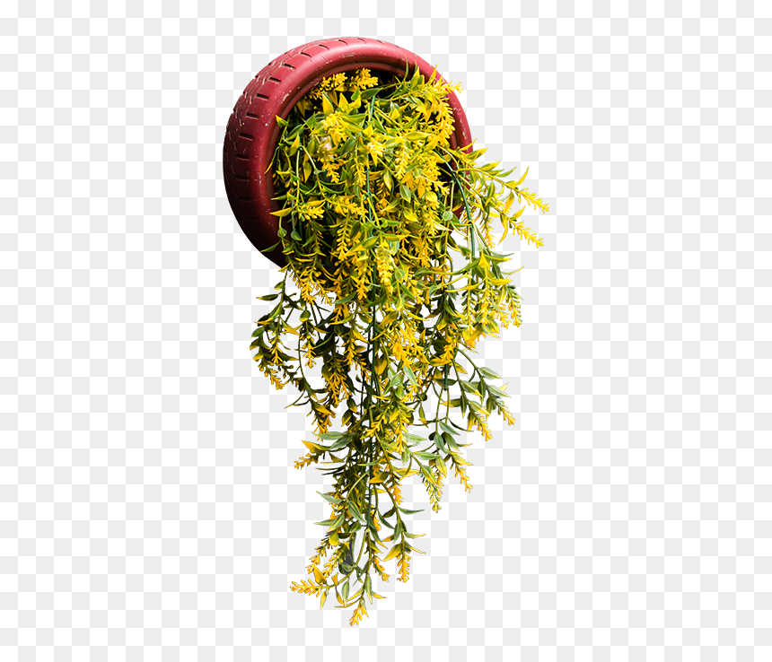 Graphic Design, HD Png Download - hanging plants png