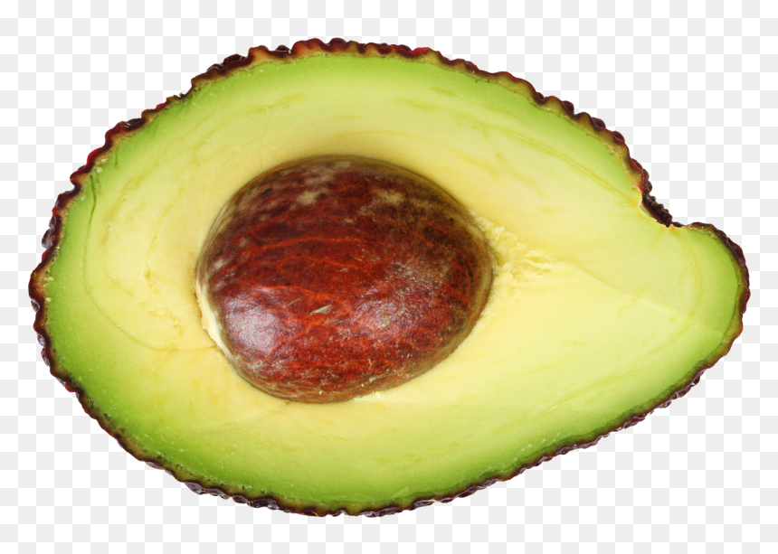 High Resolution Avocado Hd, HD Png Download - avacado png