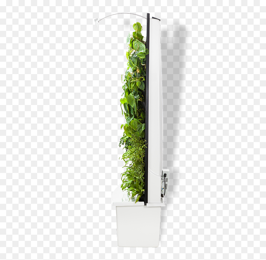 Transparent Vertical Garden Png, Png Download - gardening png