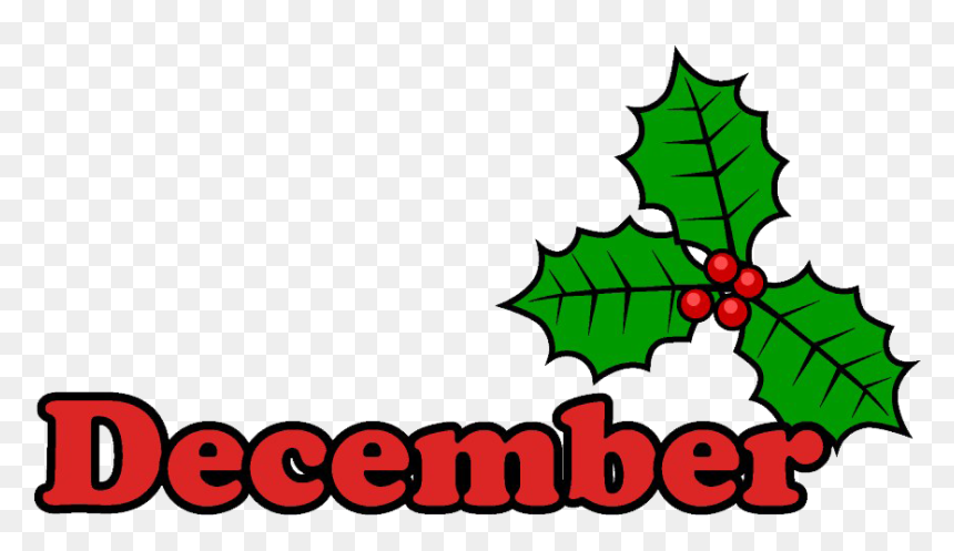 December - American Holly, HD Png Download - december png