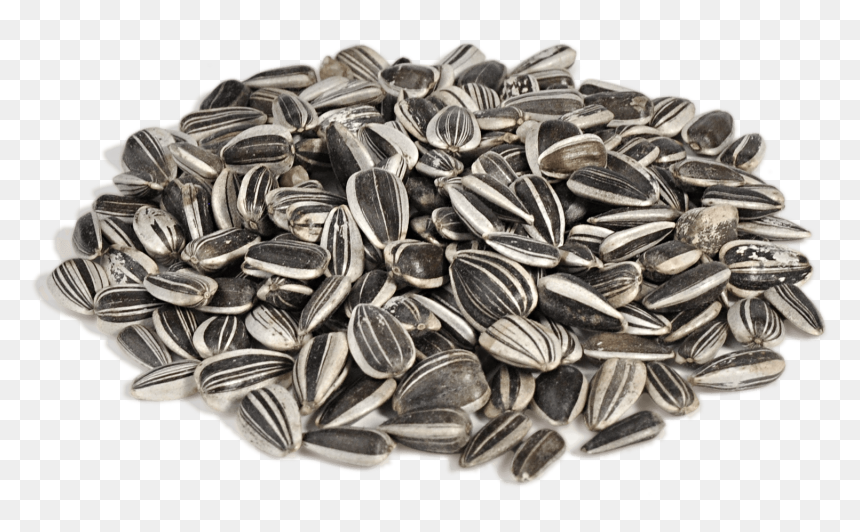 Sunflower Seeds Png, Transparent Png - seeds png
