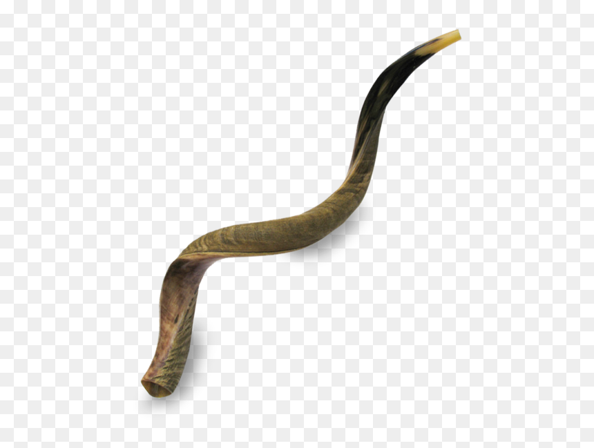 Shofar, HD Png Download - shofar png