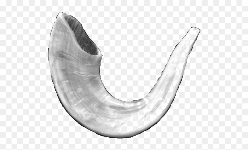 Drawing, HD Png Download - shofar png