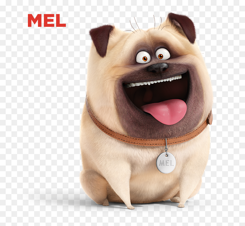 Mel The Secret Life Of Pets, HD Png Download - secret life of pets png