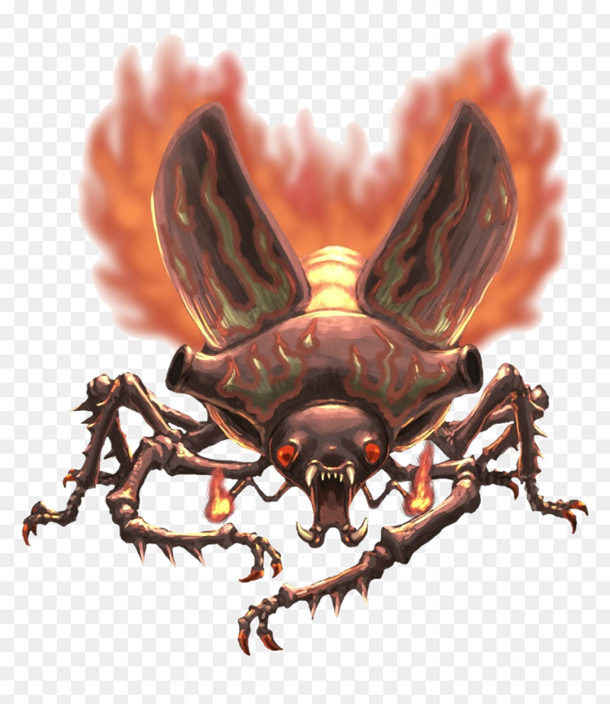 Beetle Png Download Image - Giant Fire Beetle, Transparent Png - beetle png