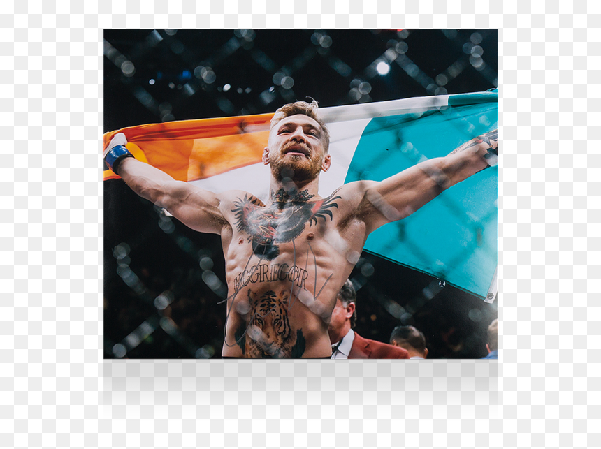 Mcgregor And Irish Flag , Png Download - Conor Mcgregor With Irish Flag, Transparent Png - irish flag png