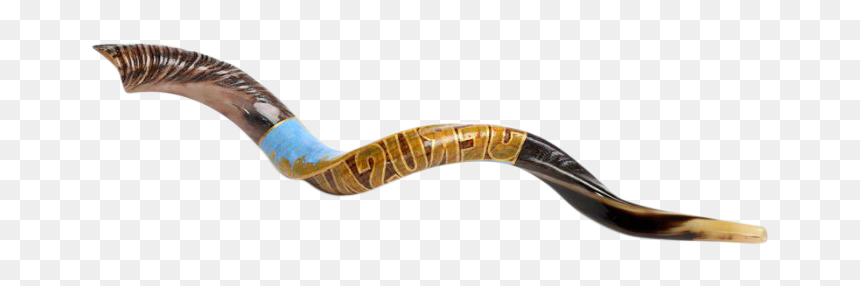 Jerusalem Painted Shofar - Weapon, HD Png Download - shofar png