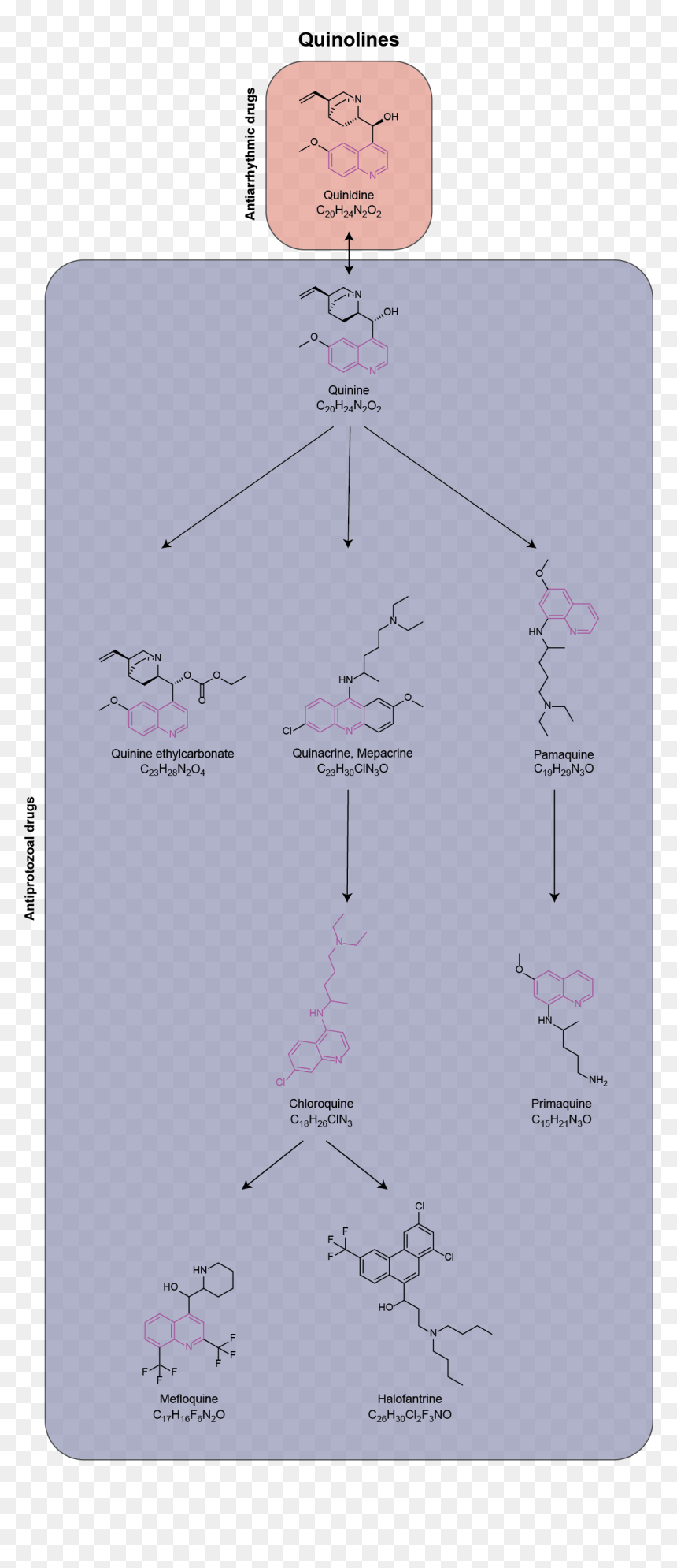 Medical Quinolines Pathway - Metabolism Chloroquine, HD Png Download - pathway png