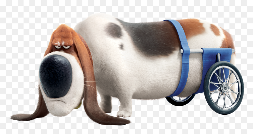 Secret Life Of Pets Old Dog , Png Download - Pops Secret Life Of Pets 2, Transparent Png - secret life of pets png