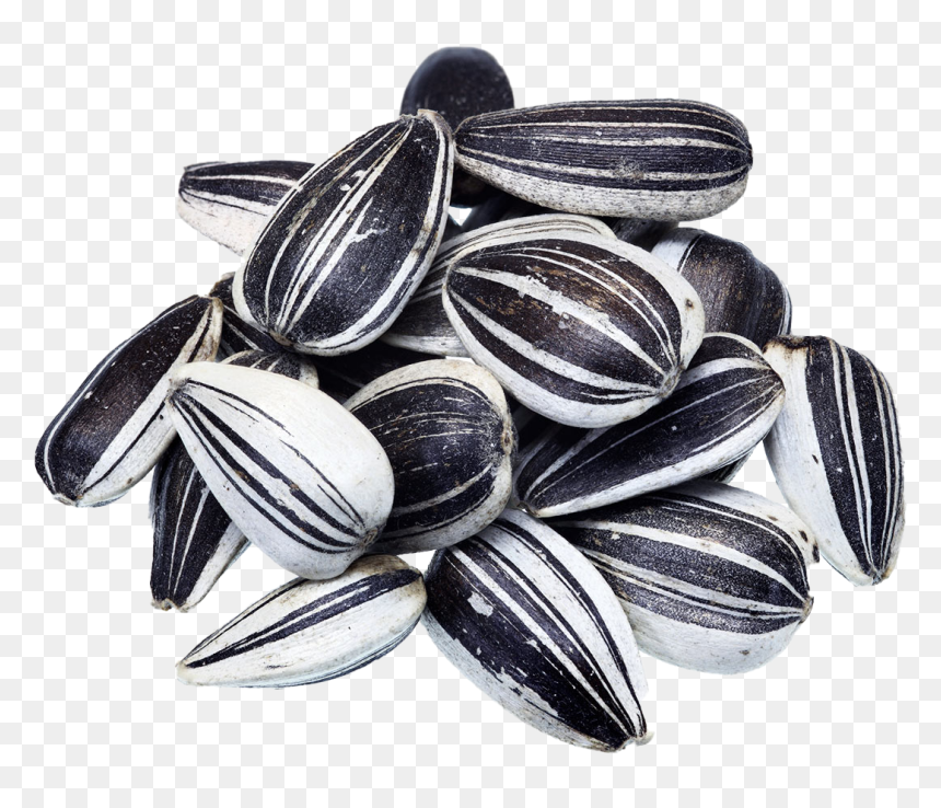 Sunflower Seeds Png, Transparent Png - seeds png