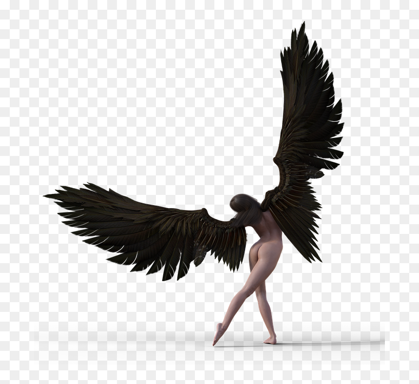 White Stork, HD Png Download - fairy wings side view png
