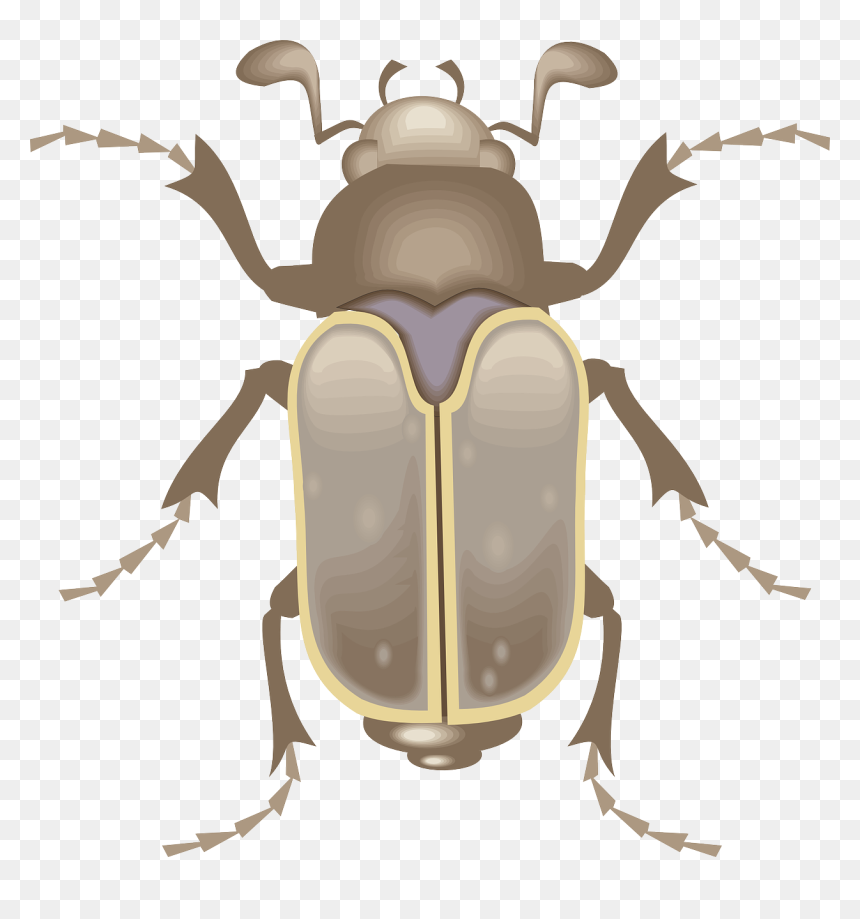Cartoon Cockroach, HD Png Download - beetle png