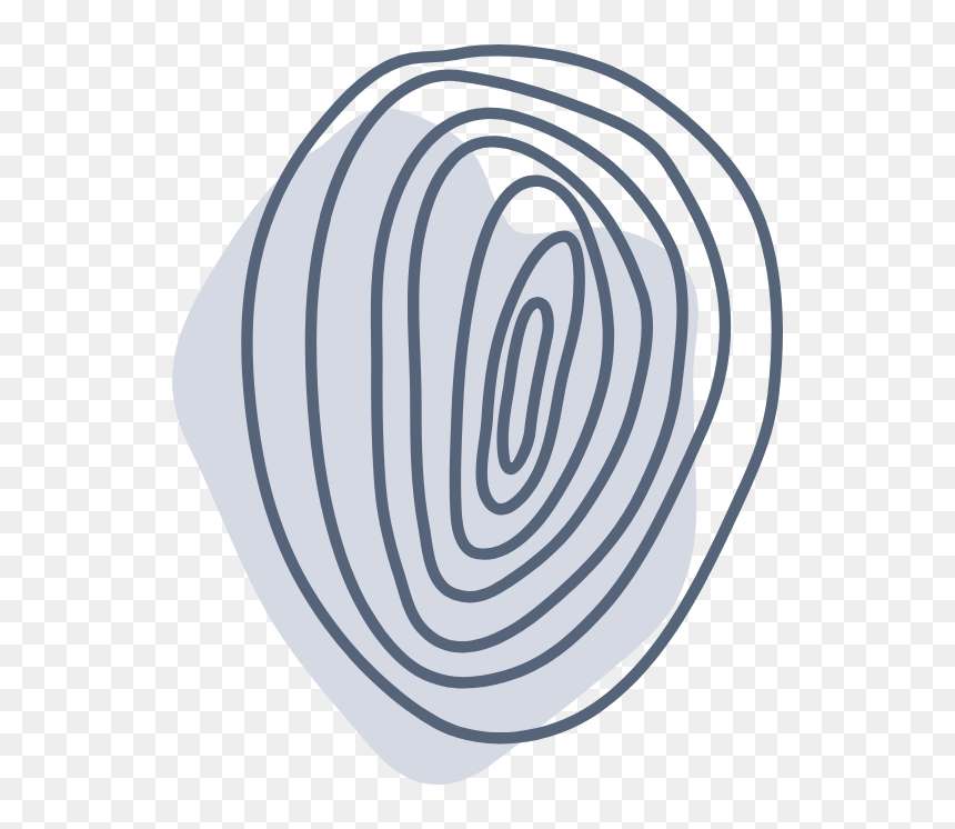 Spiral, HD Png Download - ripped paper edge png