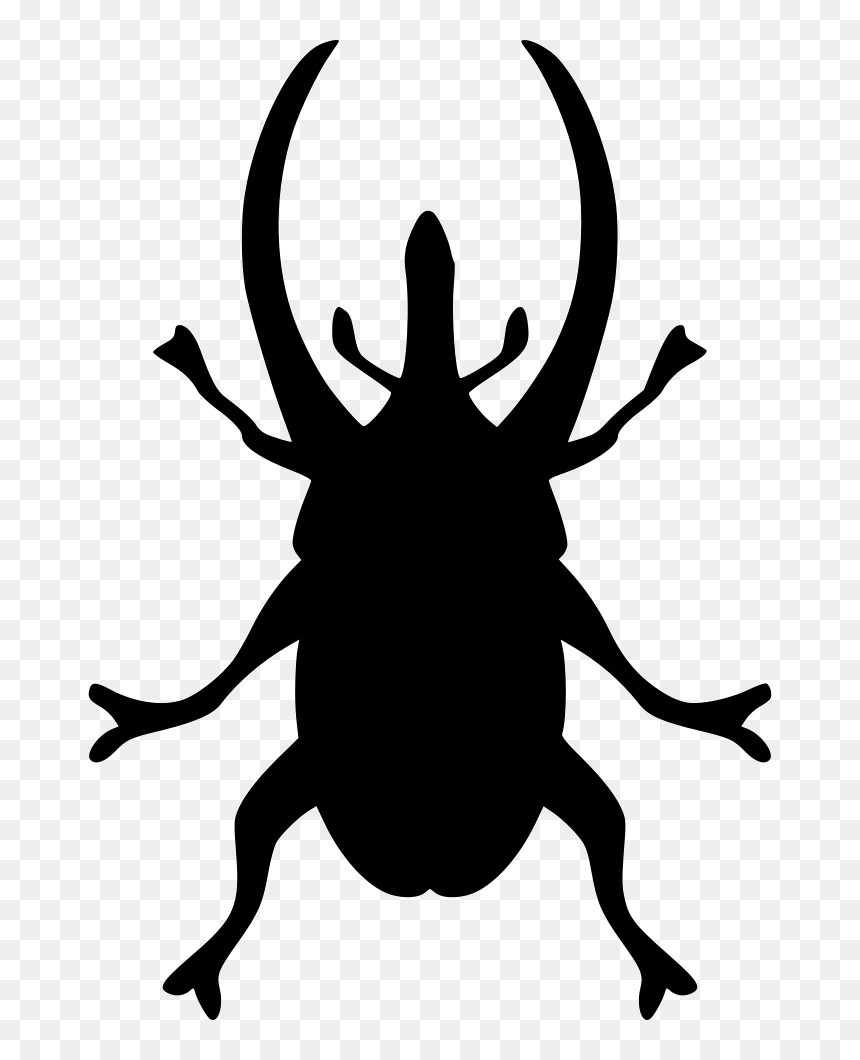 Beetle Nature, HD Png Download - beetle png