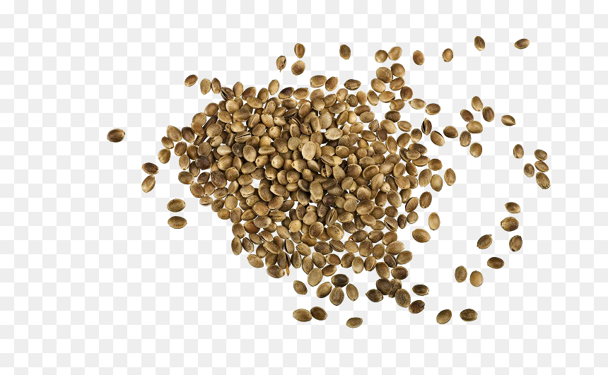 Hemp Seeds Png Images - Whole Hemp Seed, Transparent Png - seeds png