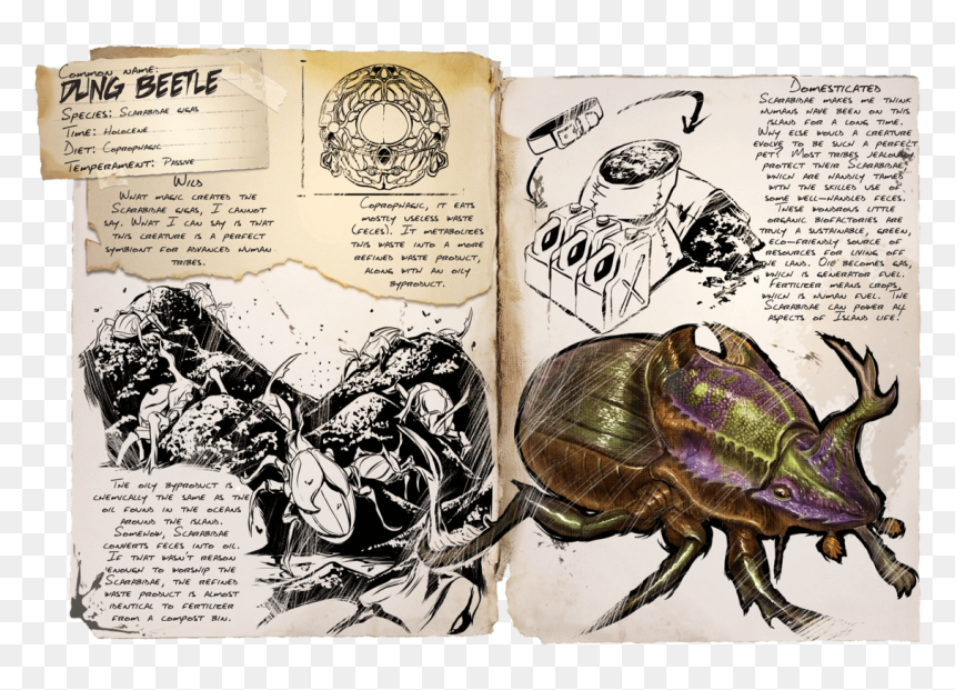 Bousier Ark, HD Png Download - beetle png