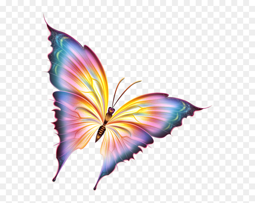 Beautiful Butterfly Pictures Png, Transparent Png - fairy wings side view png