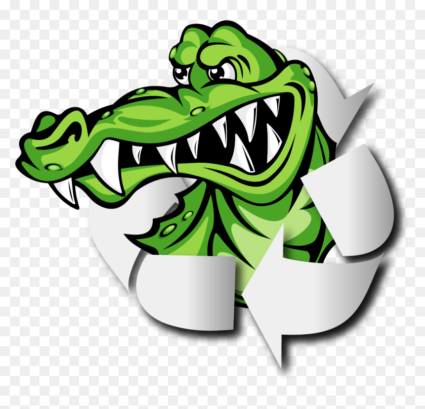 Gator"s Metal Recycling - Alligators, HD Png Download - gators png