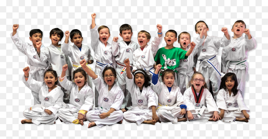 Ready To Try Taekwondo - Tiger An Taekwondo, HD Png Download - karate png