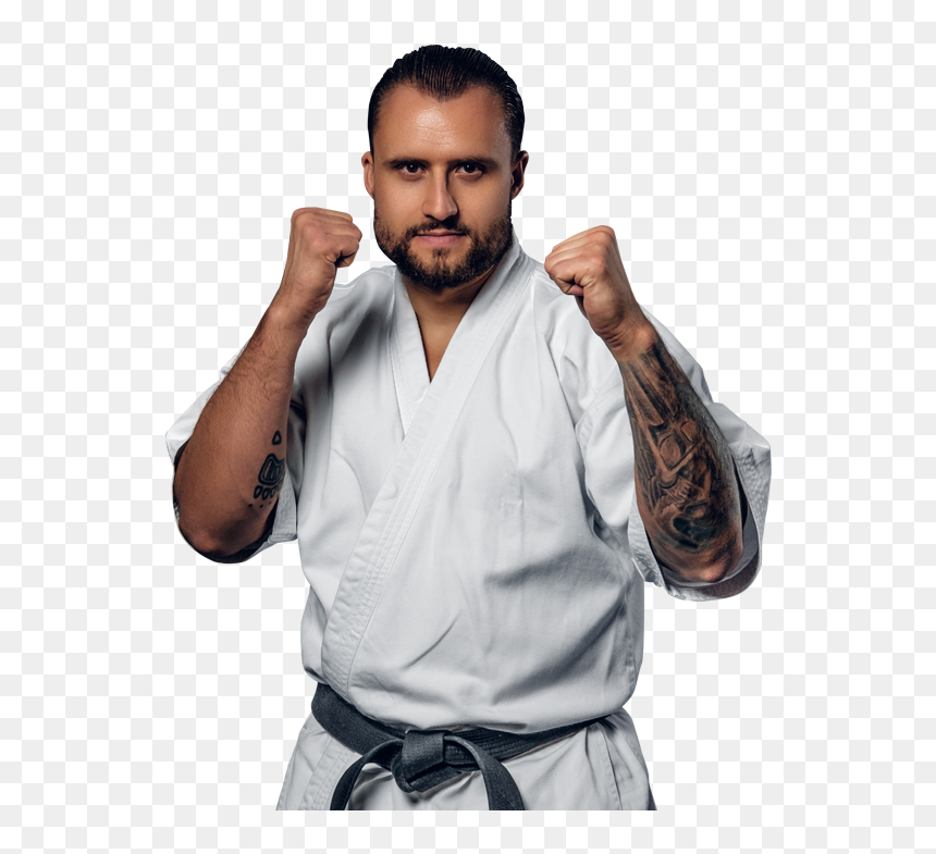 Adult Man In Karate Stance - Karate Man Png, Transparent Png - karate png