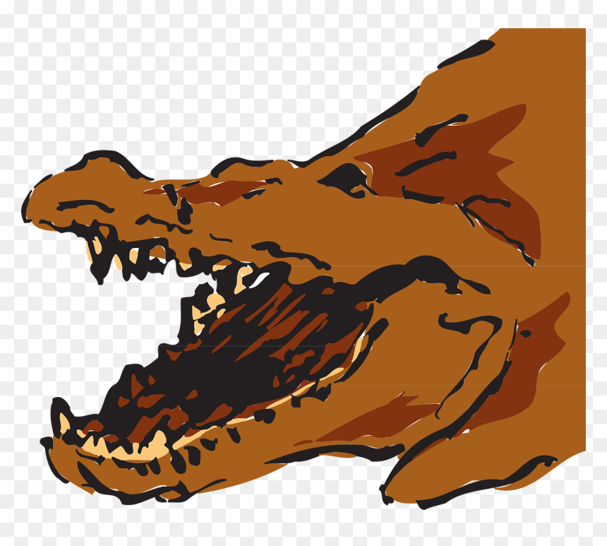 Alligators Brown, HD Png Download - gators png