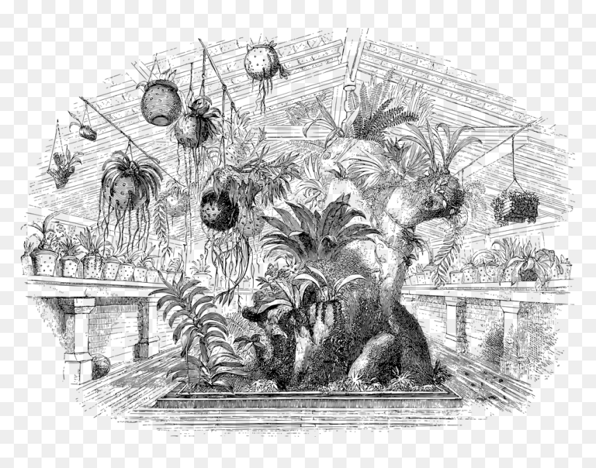 Sketch, HD Png Download - greenhouse png
