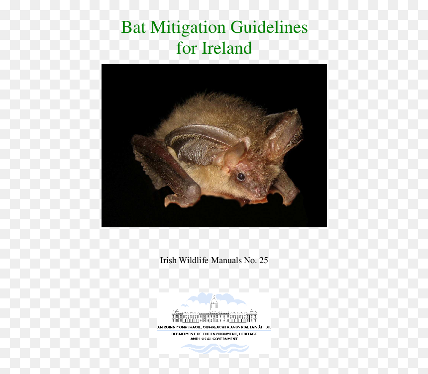 Bat, HD Png Download - bat swarm png
