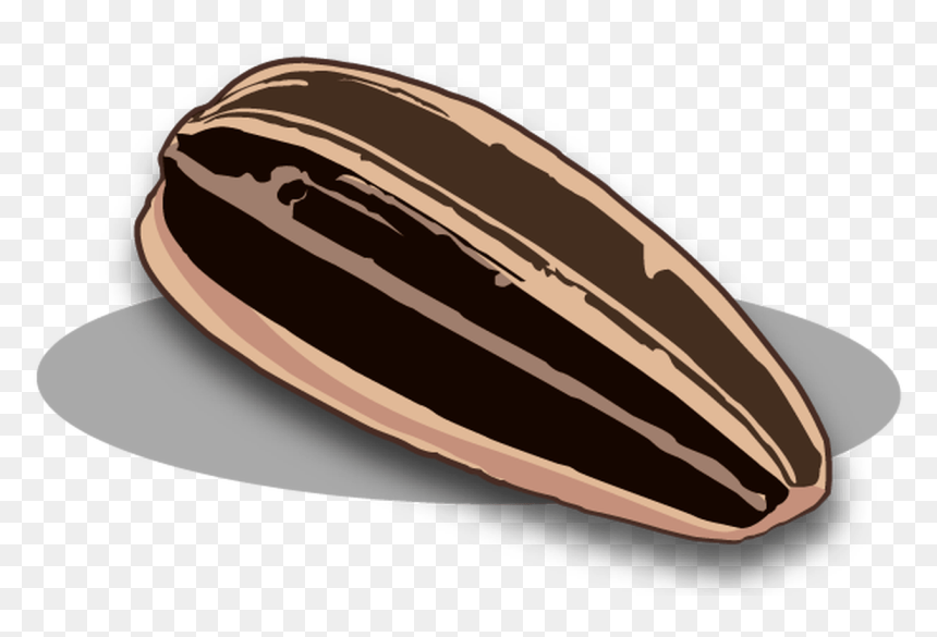 Sunflower Seeds Png Images Free Download - Transparent Background Sunflower Seed Clipart, Png Download - seeds png