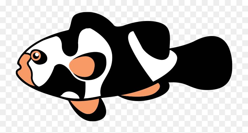 Picassoclownfish - Com, HD Png Download - clownfish png