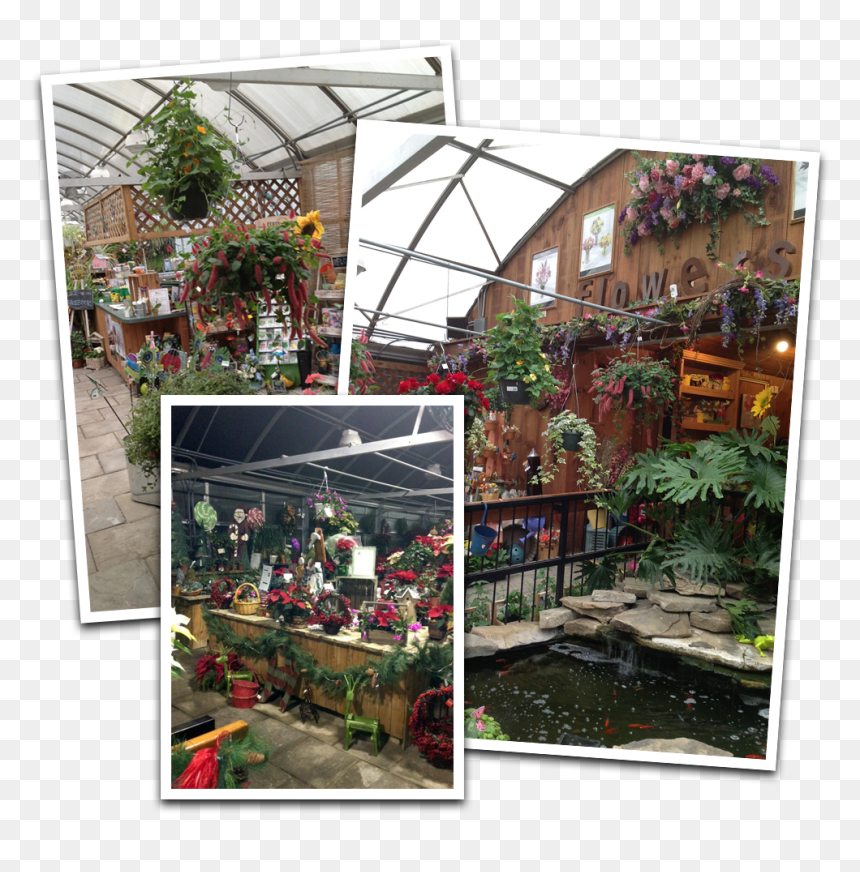 Gift Items And Much More - Greenhouse, HD Png Download - greenhouse png