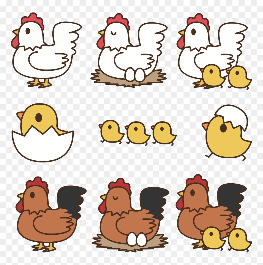 Chickens - Chickens Clipart, HD Png Download - chickens png