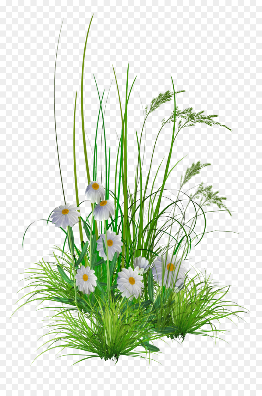 Flower Gardening Clipart Banner Library Download Png - Flower Images Hd Png, Transparent Png - gardening png