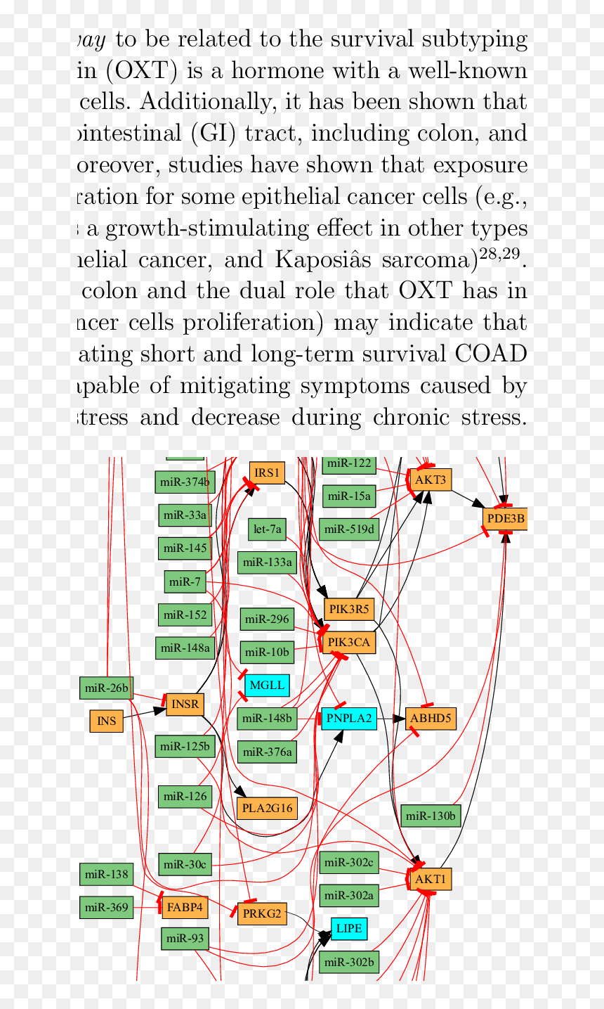 Diagram, HD Png Download - pathway png