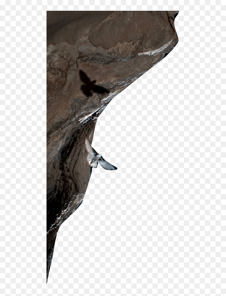 Rock Climbing, HD Png Download - bat swarm png