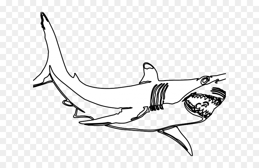 Thumb Image - White Shark Clip Art, HD Png Download - shark.png