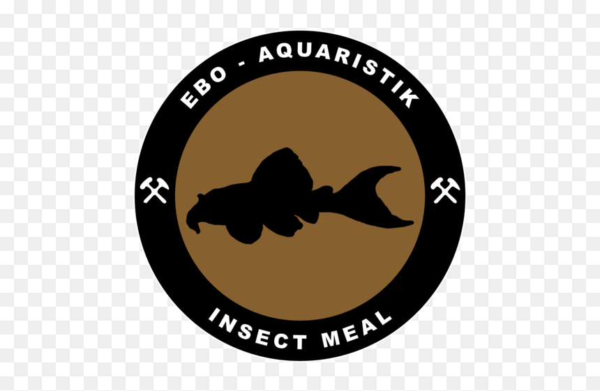 Insect Meal, HD Png Download - meal png