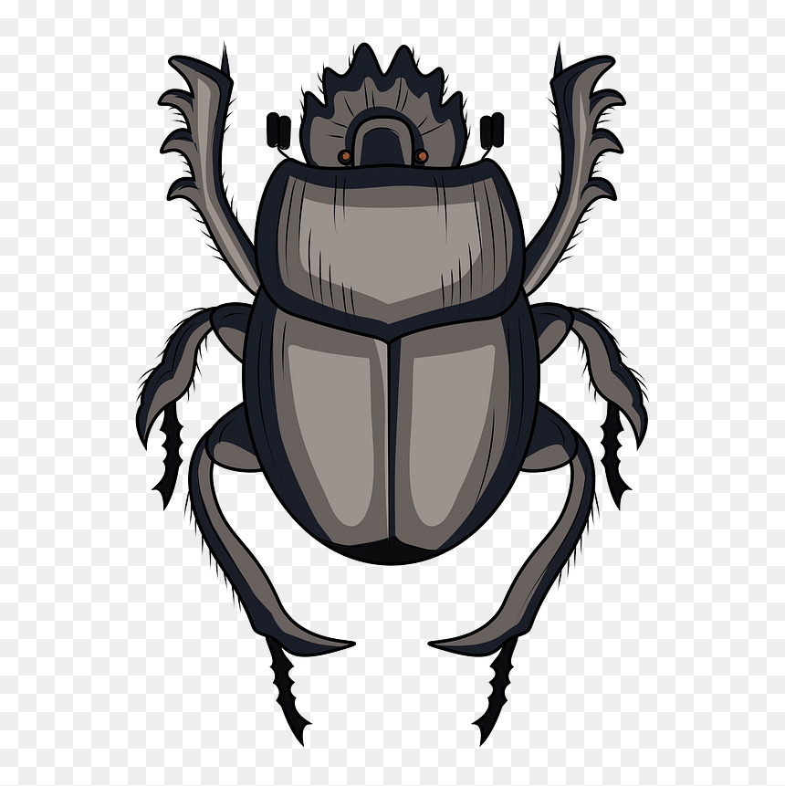 Scarabaeus Dung Beetle Clipart - Dung Beetle Clipart, HD Png Download - beetle png