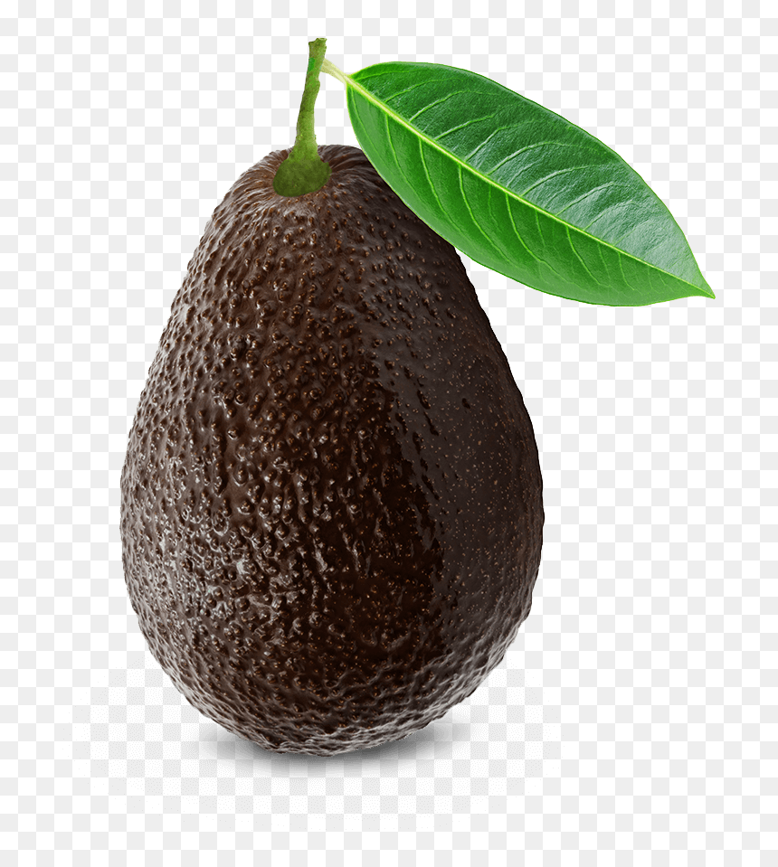 Avocado Hass Png, Transparent Png - avacado png