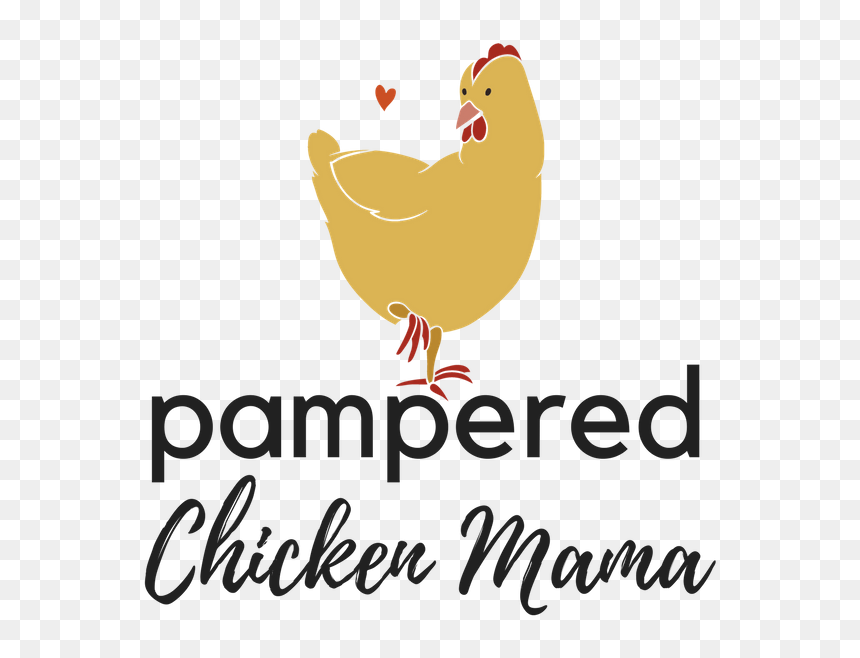 Pampered Chicken Mama Raising Backyard Chickens & Eggs - Rooster, HD Png Download - chickens png