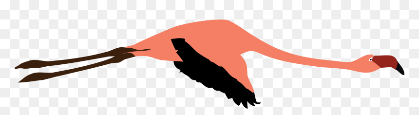 Flamingo Clipart Flying - Illustration, HD Png Download - flying png