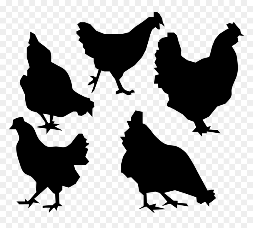 Silhouette Chicken Clipart, HD Png Download - chickens png