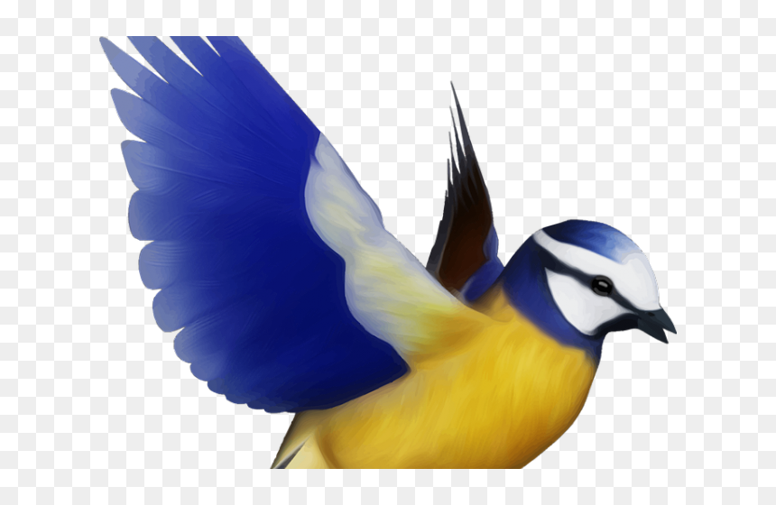 Transparent Flying Bird Clipart - Bird Png, Png Download - flying png