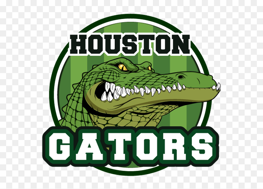Clipart Crocodile With A Basketball In Its Mouth Picture - American Crocodile, HD Png Download - gators png