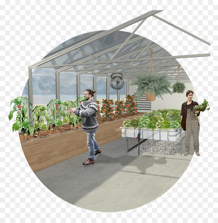 Internior Render Greenhouse - Greenhouse Render, HD Png Download - greenhouse png