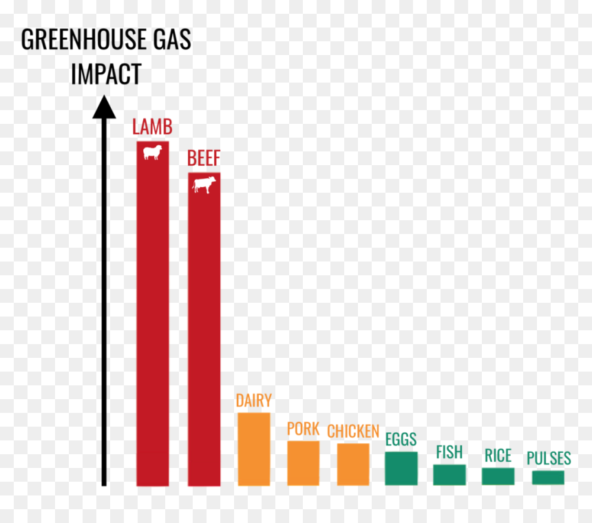 Data From The World Resources Institute, - Sheep And Greenhouse Gases, HD Png Download - greenhouse png