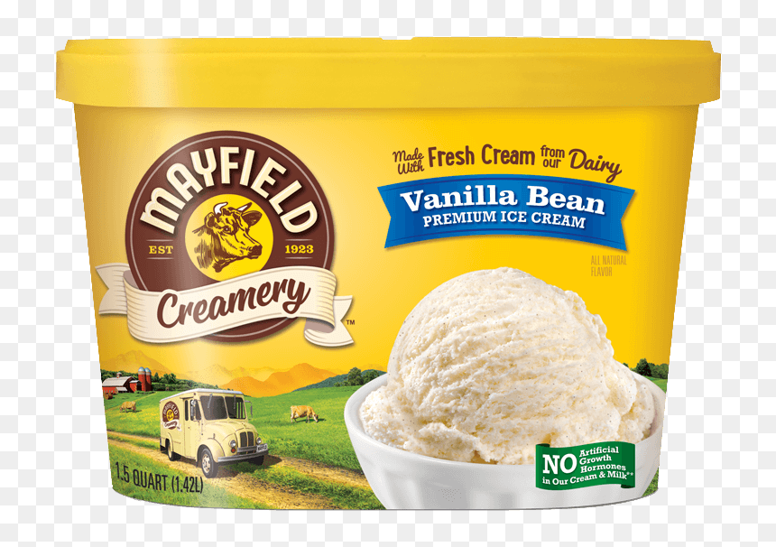 Vanilla Bean - Sea Salt Caramel Cheesecake Ice Cream, HD Png Download - vanilla bean png