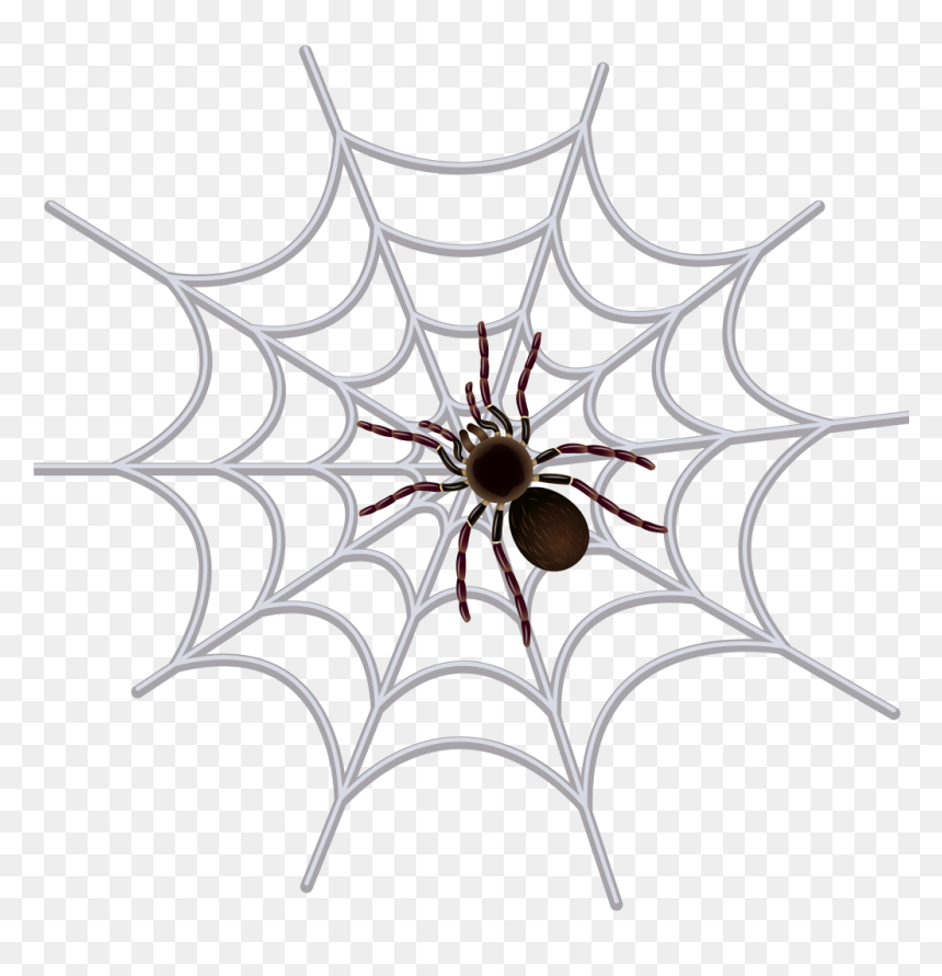 Transparent Png Spider Web Clipart , Png Download - Web Drawing For Kids, Png Download - spider web transparent png